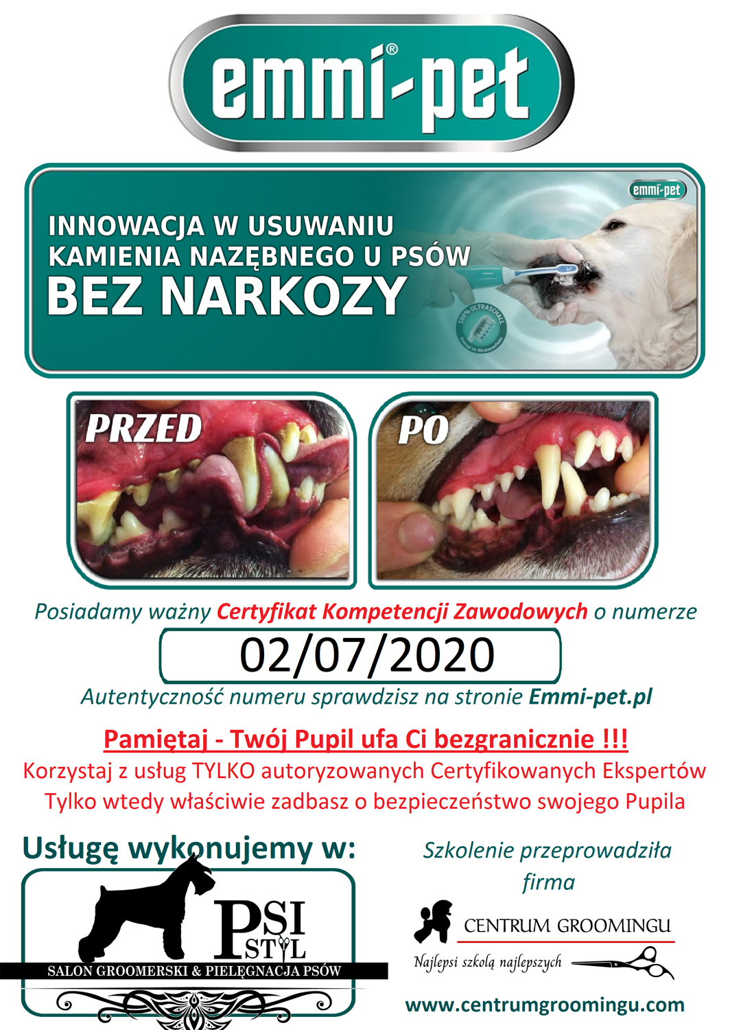 Psi Styl Głogów, strzyżenie, salon, fryzjer, opieka, czyszczenie zębów